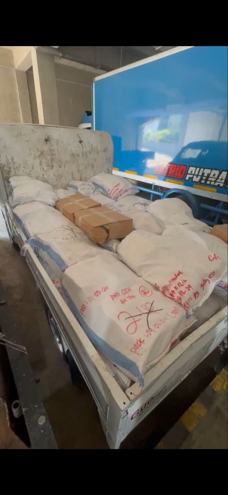 Standar rantai dingin cold chain distribusi dada ayam fillet yang benar